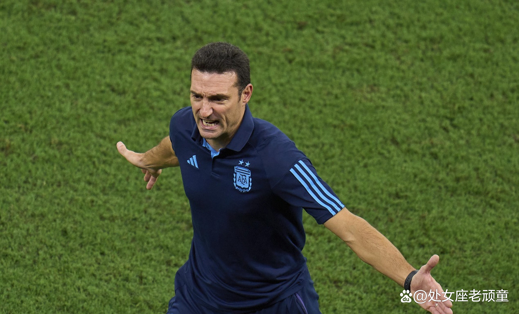 爱游戏官网入口-阿根廷选手表现稳定获好评，实力有目共睹的简单介绍