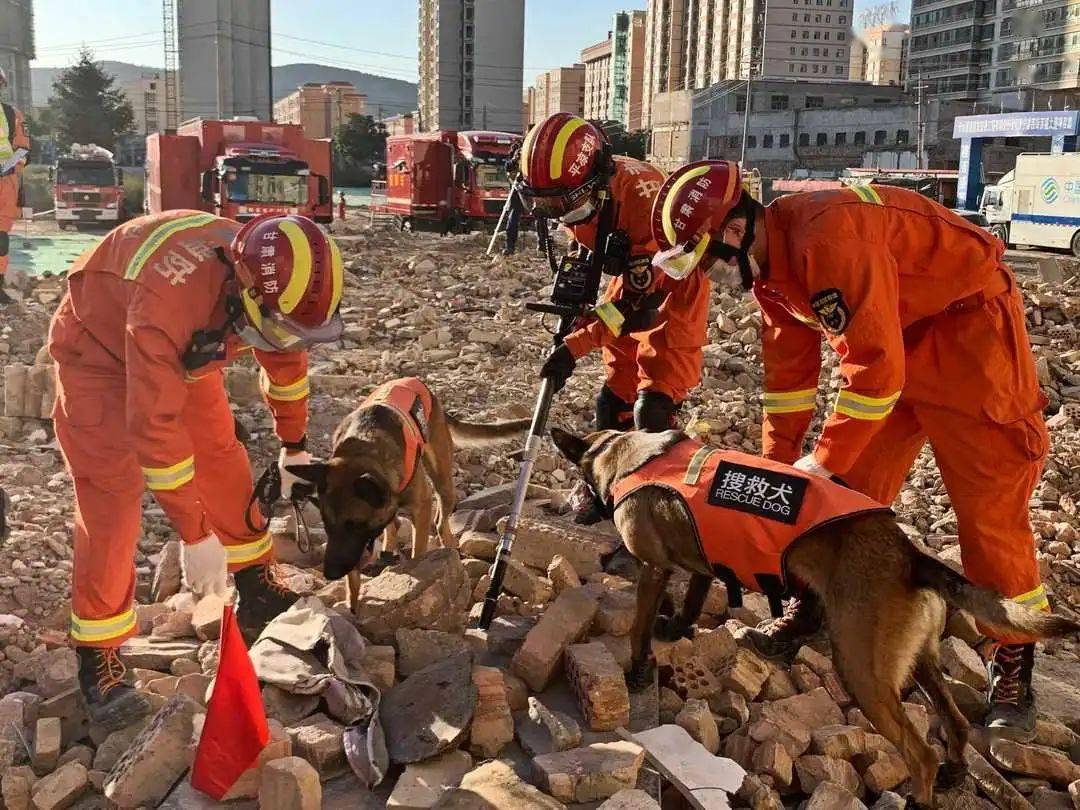 某队在大赛中披荆斩棘,最终夺得荣耀 某队在大赛中披荆斩棘,最终夺得荣耀