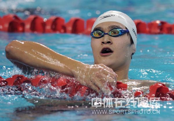 游泳冠军激动庆祝，胜利瞬间感人无比的简单介绍